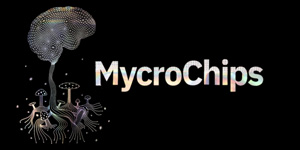 Mycrochips Magic Mushrooms