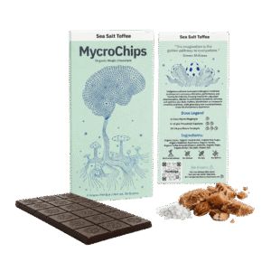 Mycrochips Sea Salt Toffee Bar