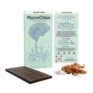 Mycrochips Sea Salt Toffee Bar