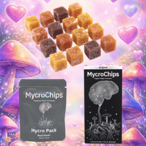 The Connection Bundle