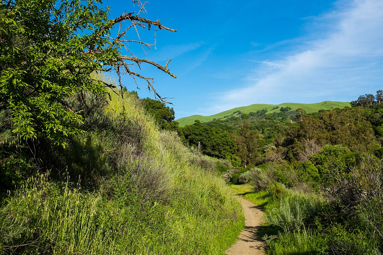 Trail and Diablo foothills at Alum Rock Park in San Jose