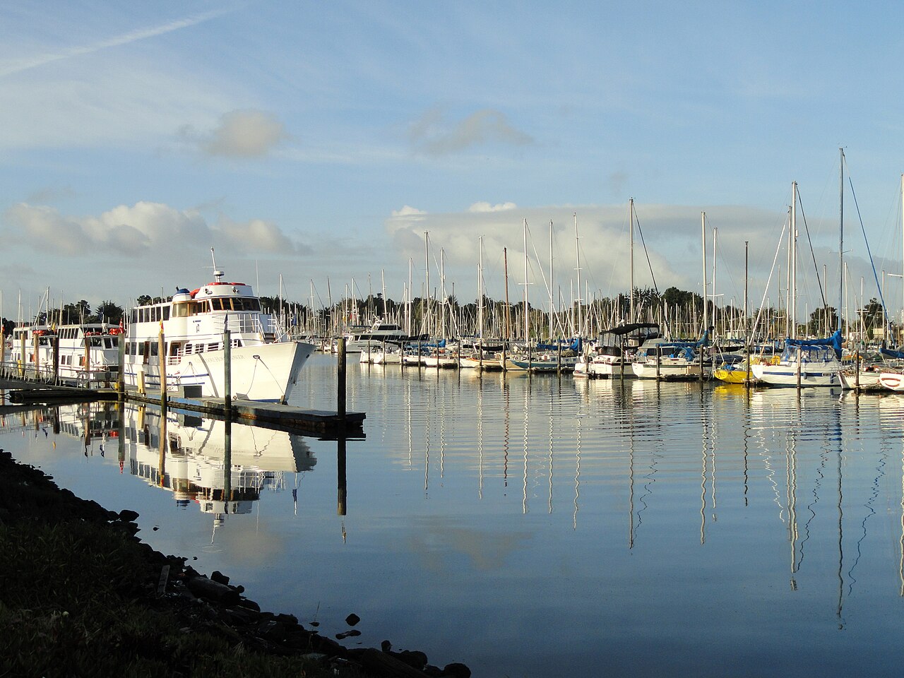 Berkeley Marina on San Francisco Bay