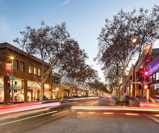 Foothill landscape in Palo Alto, California