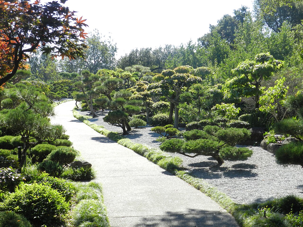 Pond and landscaped garden at the Hayward Japanese Gardens