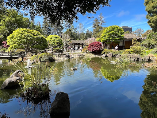 Japanese Garden at Central Park in San Mateo, California