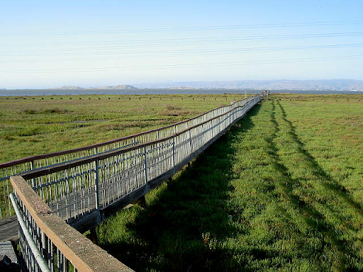 Wetlands at Palo Alto Baylands Nature Preserve
