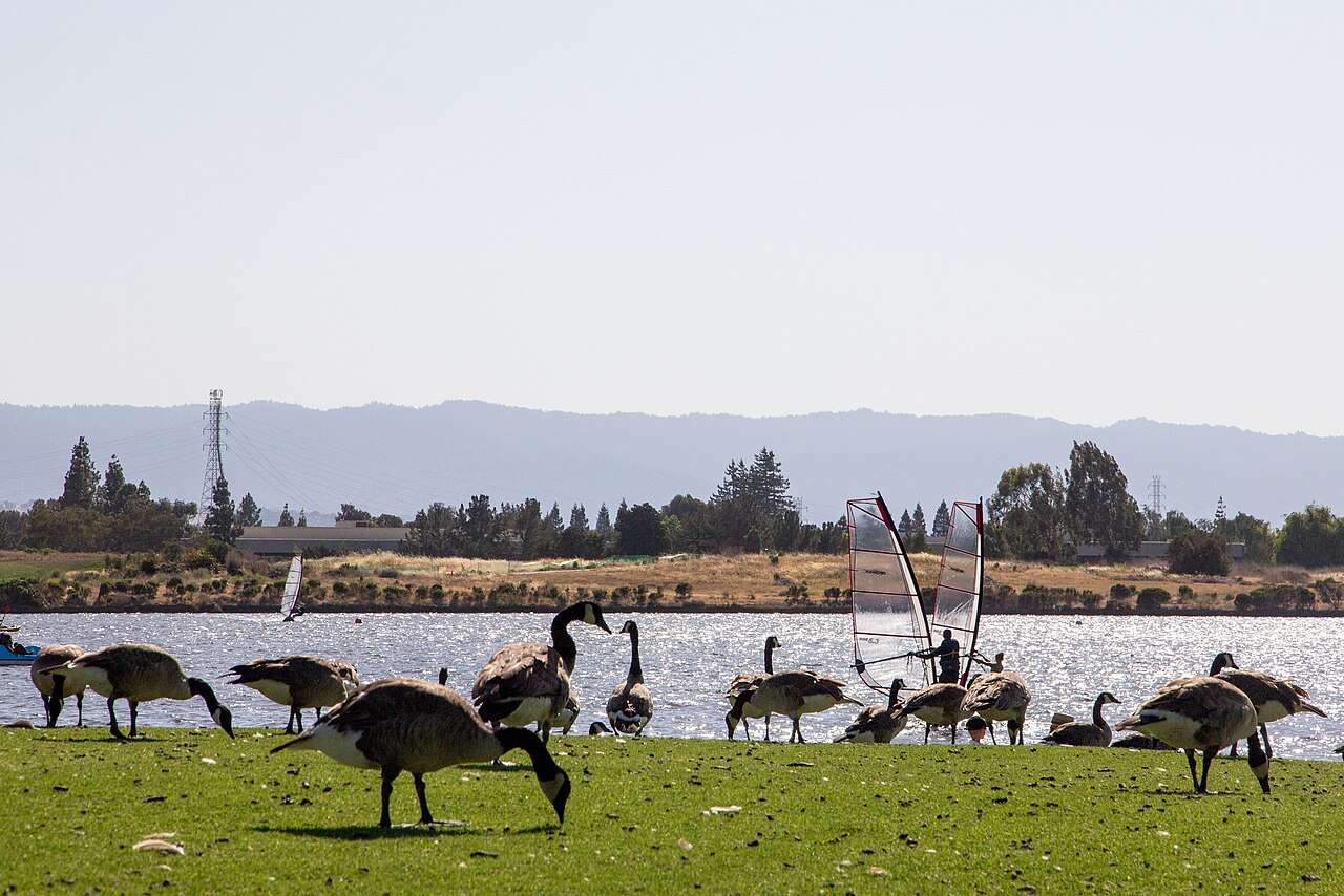Wetlands and trails at Shoreline at Mountain View
