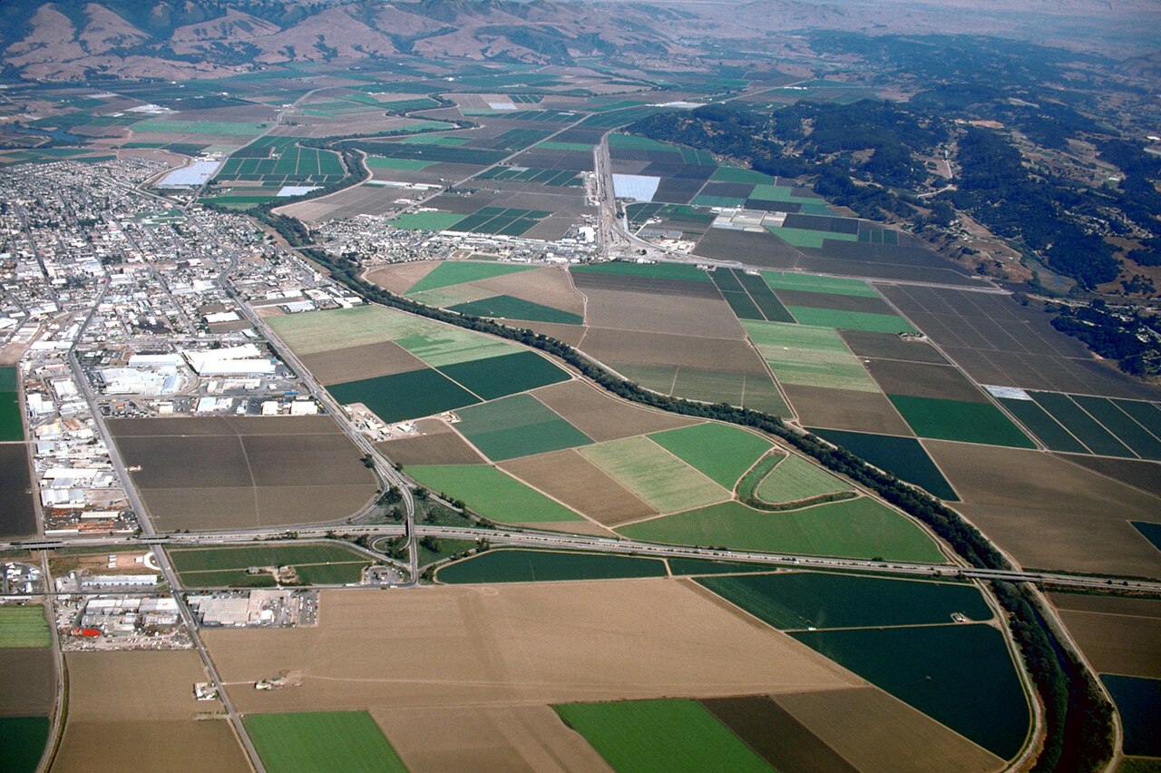Freshwater wetlands and trail in Watsonville, California